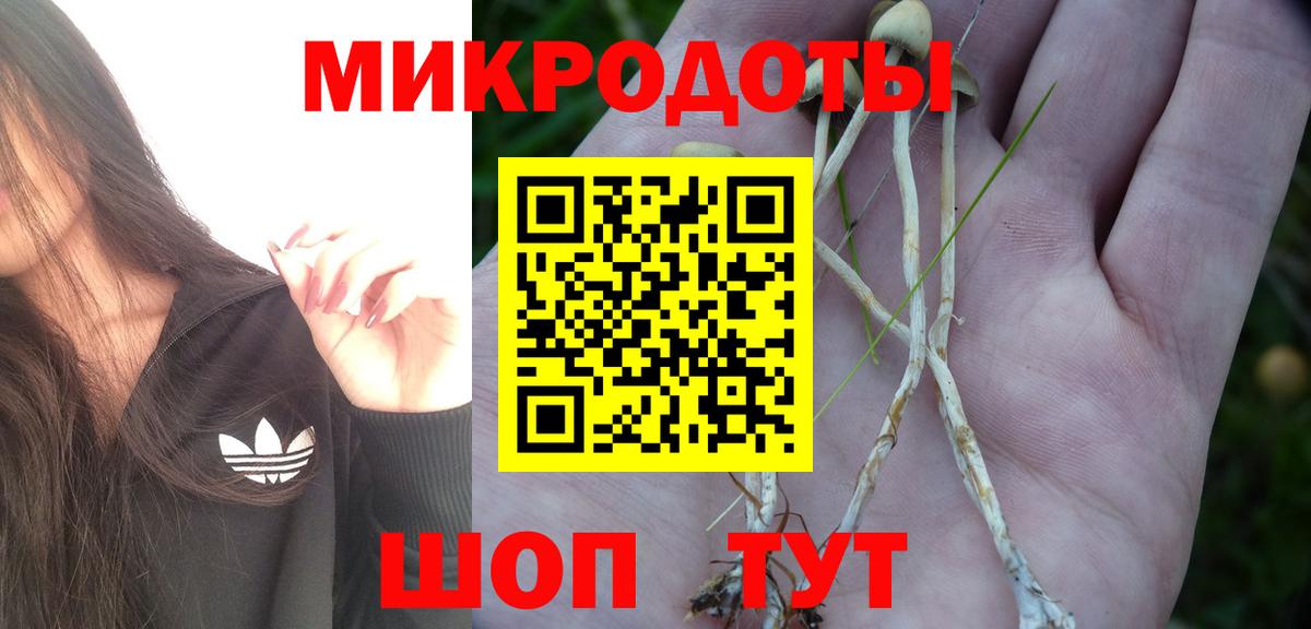 Галлюциногенные грибы Psilocybe  Вход с VPN  что такое наркотик  Кизляр 