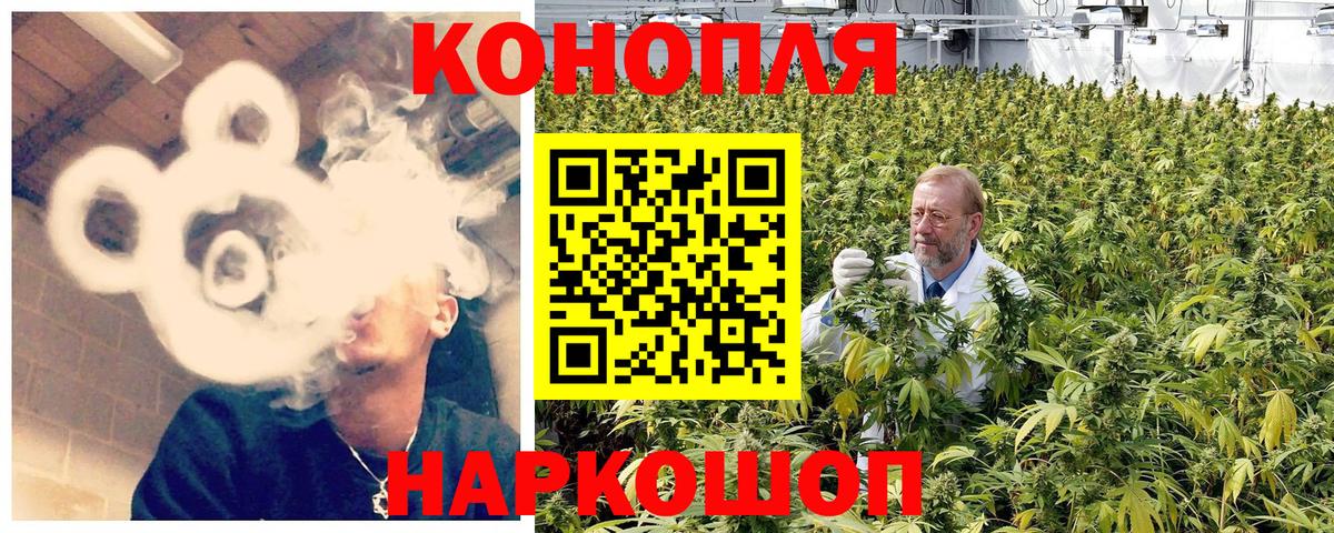 Шишки марихуана тримм Кизляр